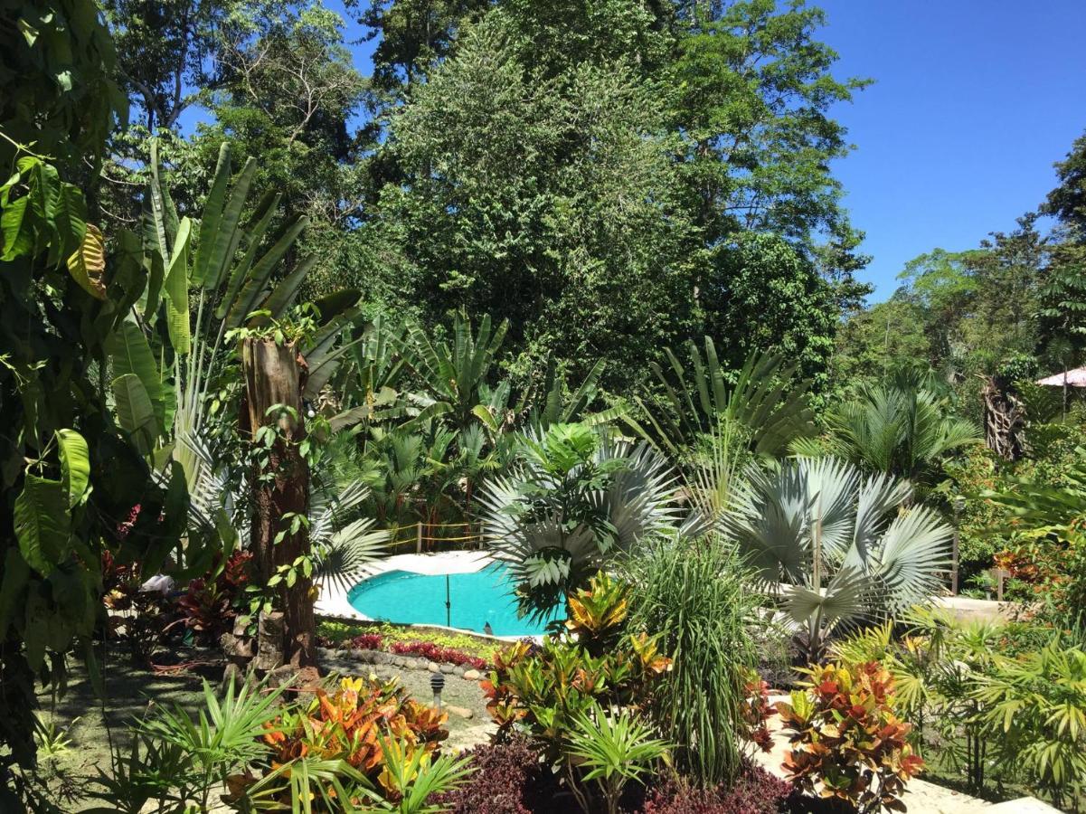 Las Palomas Villas Cocles Exterior photo