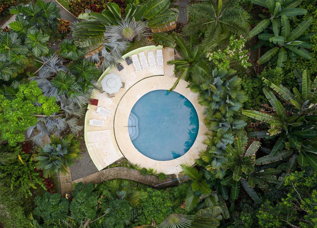 Las Palomas Villas Cocles Exterior photo