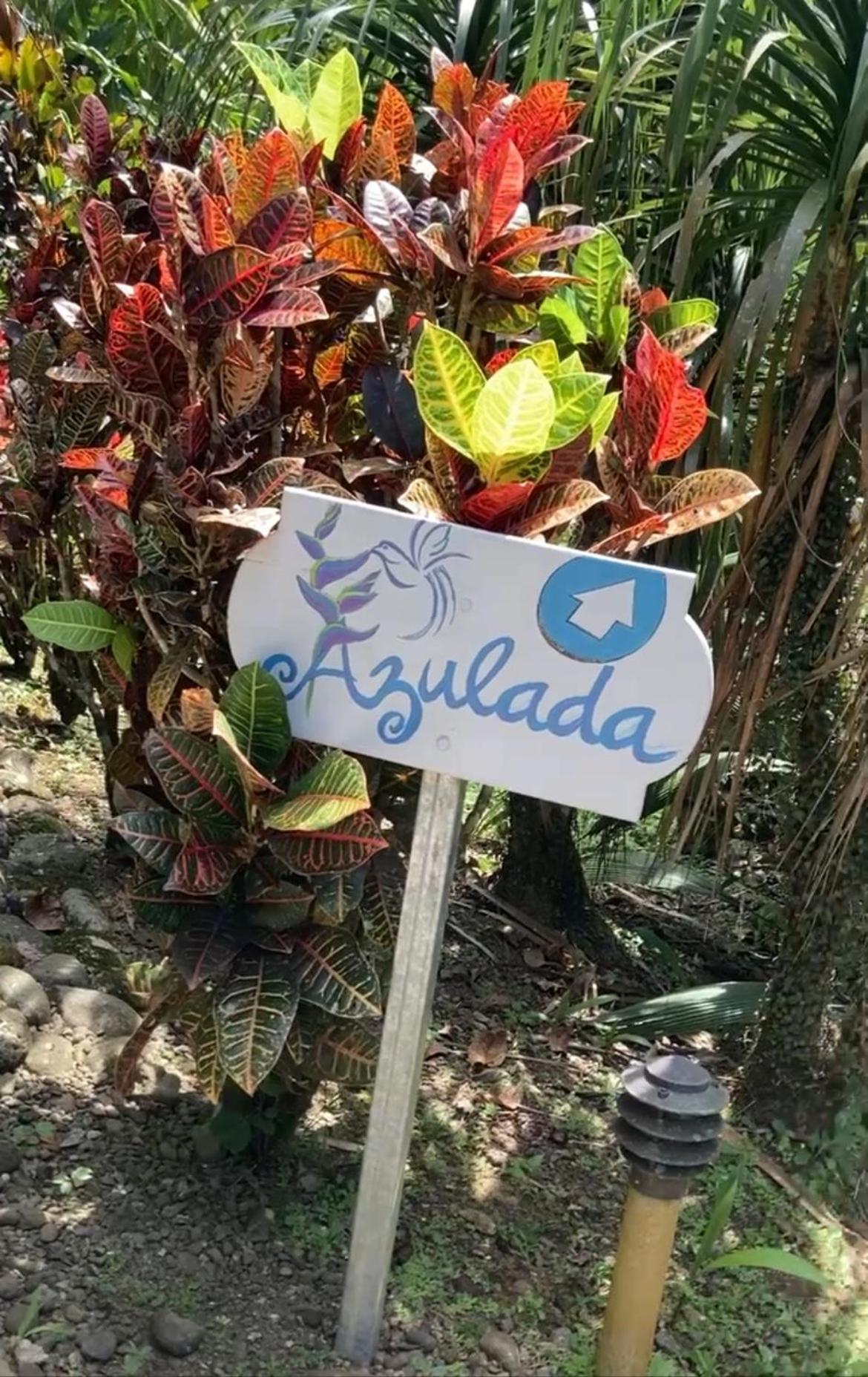 Las Palomas Villas Cocles Exterior photo