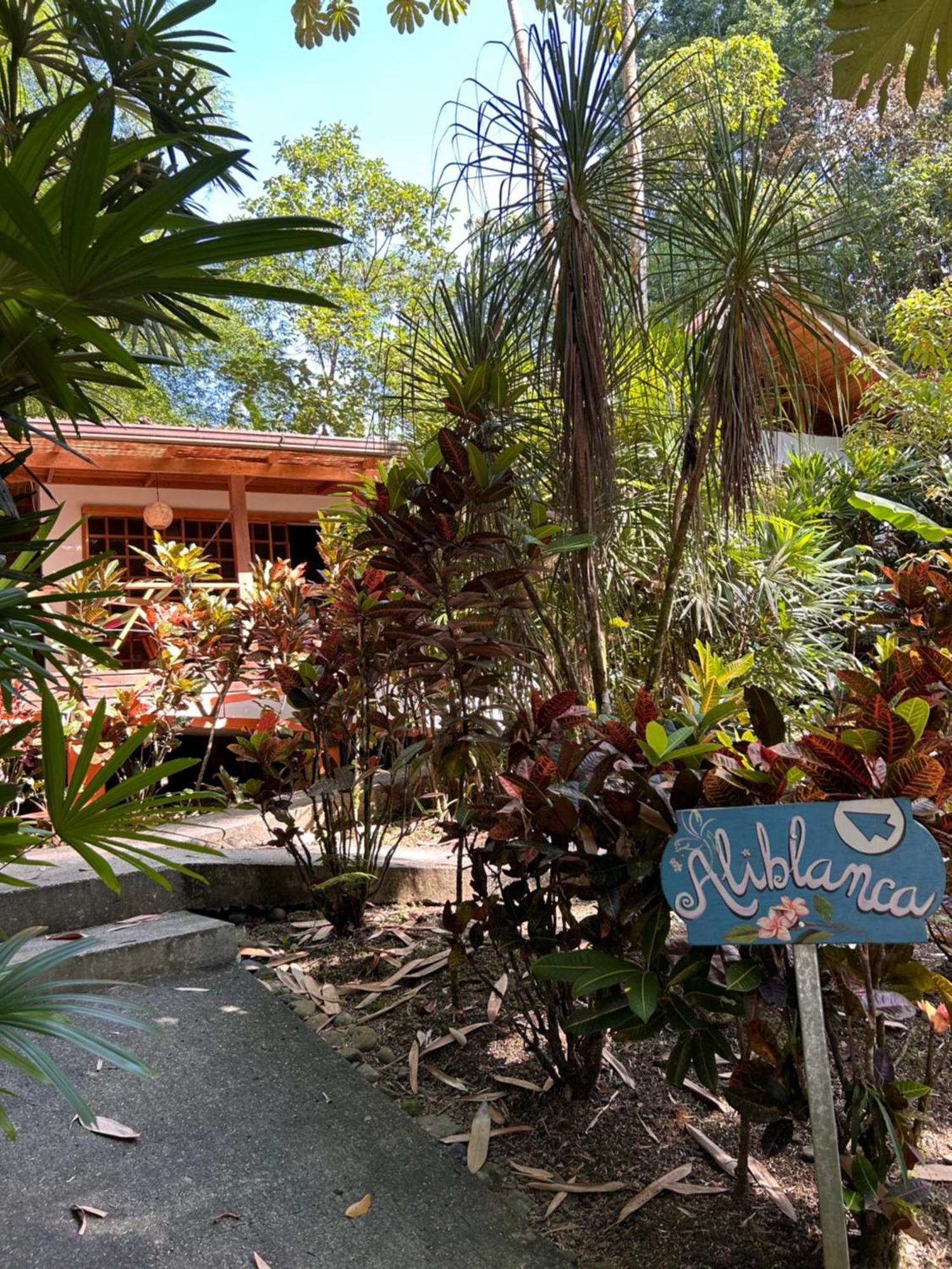 Las Palomas Villas Cocles Exterior photo
